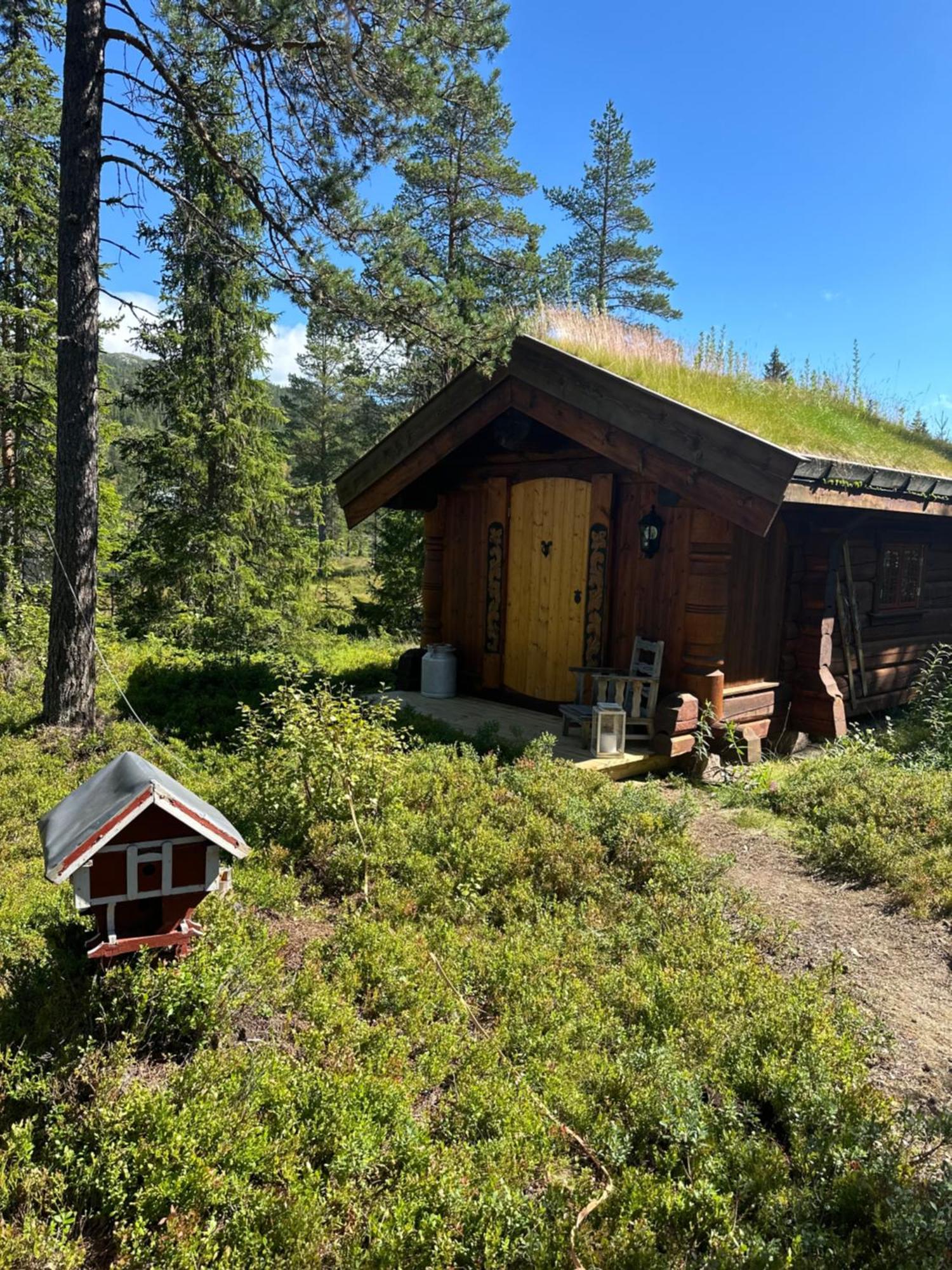 Villa Hytta Pa Oyfjell Esterno foto