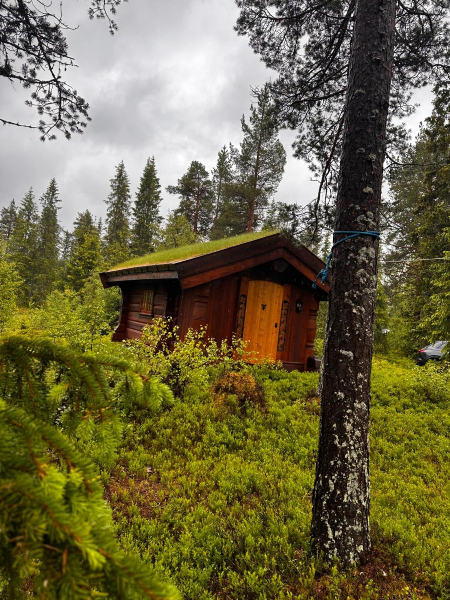 Villa Hytta Pa Oyfjell Esterno foto