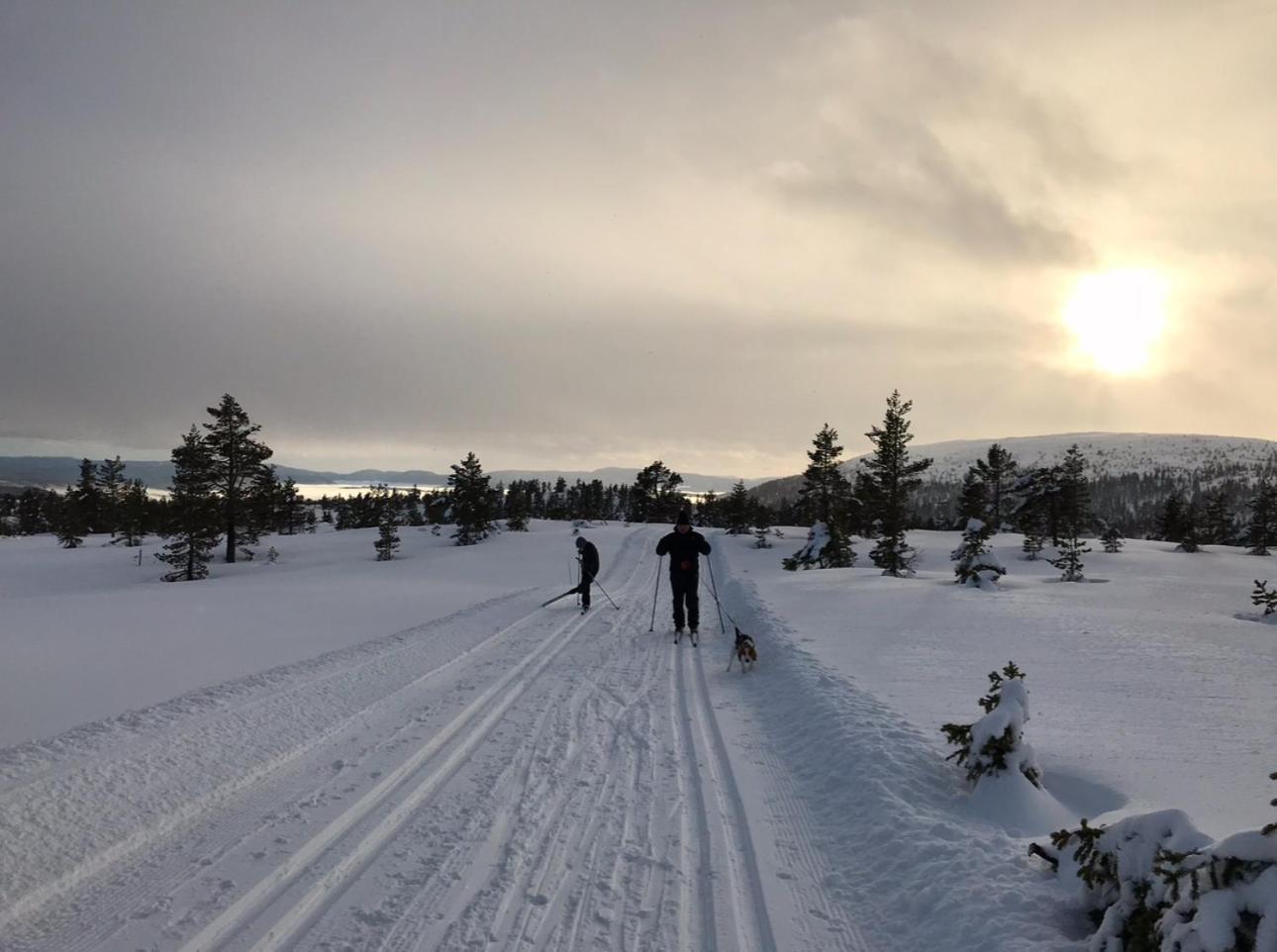 Villa Hytta Pa Oyfjell Esterno foto