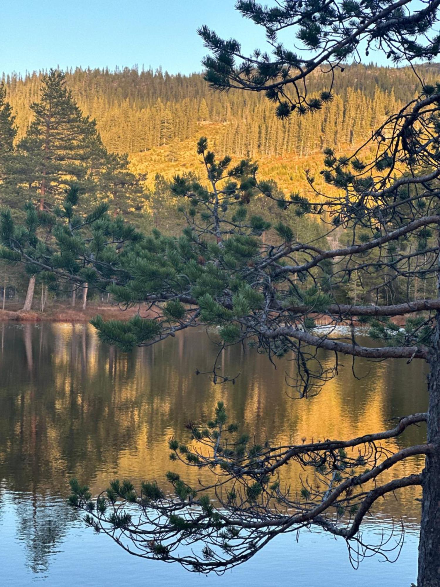 Villa Hytta Pa Oyfjell Esterno foto